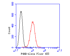 Flow cytometric analysis of P4HB was done on HepG2 cells. The cells were fixed, permeabilized and stained with the primary antibody (ET7110-92, 1/50) (red). After incubation of the primary antibody at room temperature for an hour, the cells were stained with a Alexa Fluor 488-conjugated Goat anti-Rabbit IgG Secondary antibody at 1/1000 dilution for 30 minutes.Unlabelled sample was used as a control (cells without incubation with primary antibody; black).