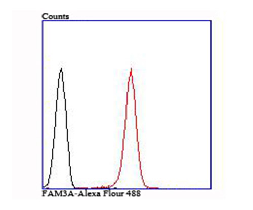 Flow cytometric analysis of A431 cells with FAM3A antibody at 1/100 dilution (red) compared with an unlabelled control (cells without incubation with primary antibody; black).
