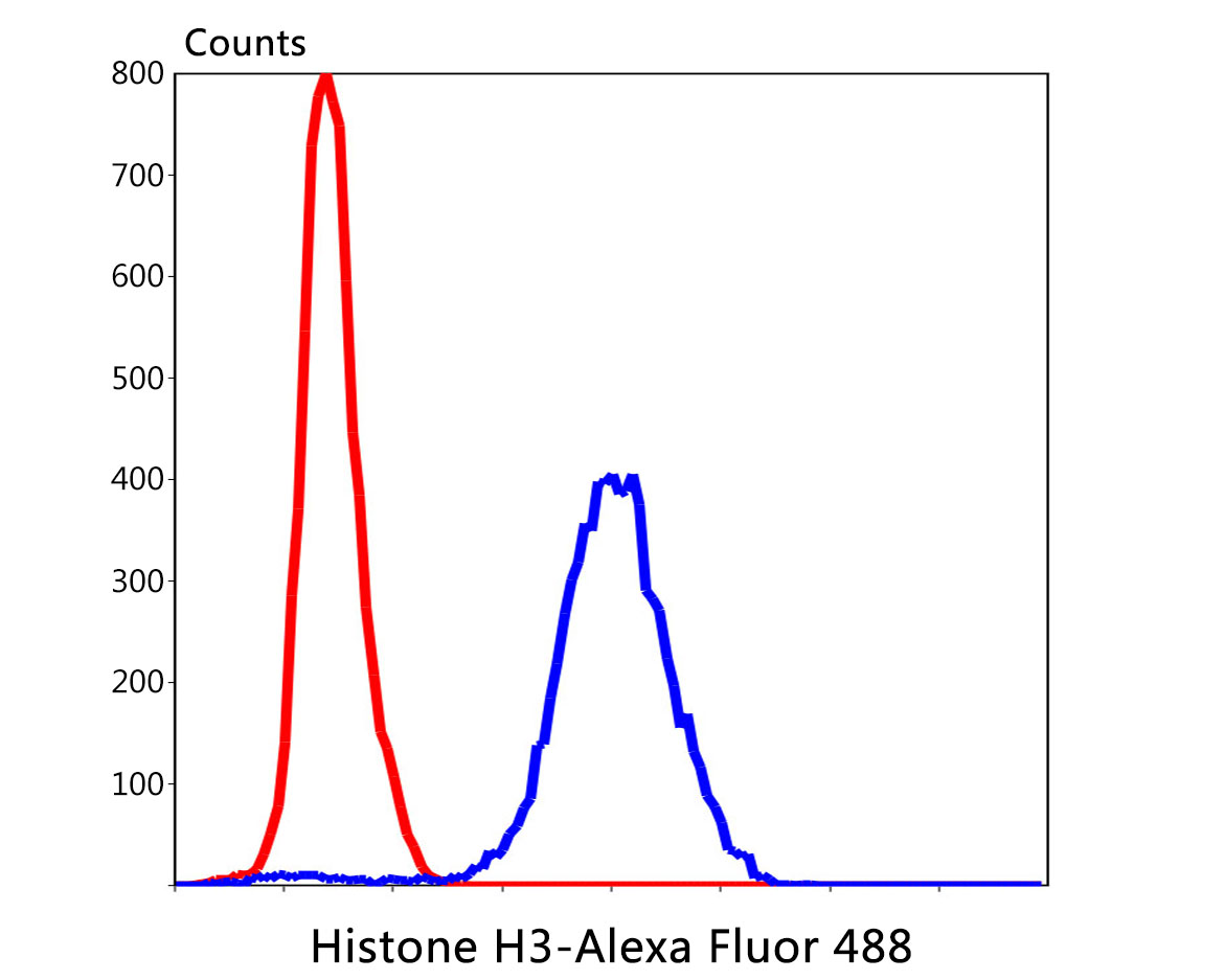 Flow cytometric analysis of Hela cells with Histone H3 antibody at 1/50 dilution (red) compared with an unlabelled control (cells without incubation with primary antibody; blue). Alexa Fluor 488-conjugated goat anti mouse IgG was used as the secondary antibody.