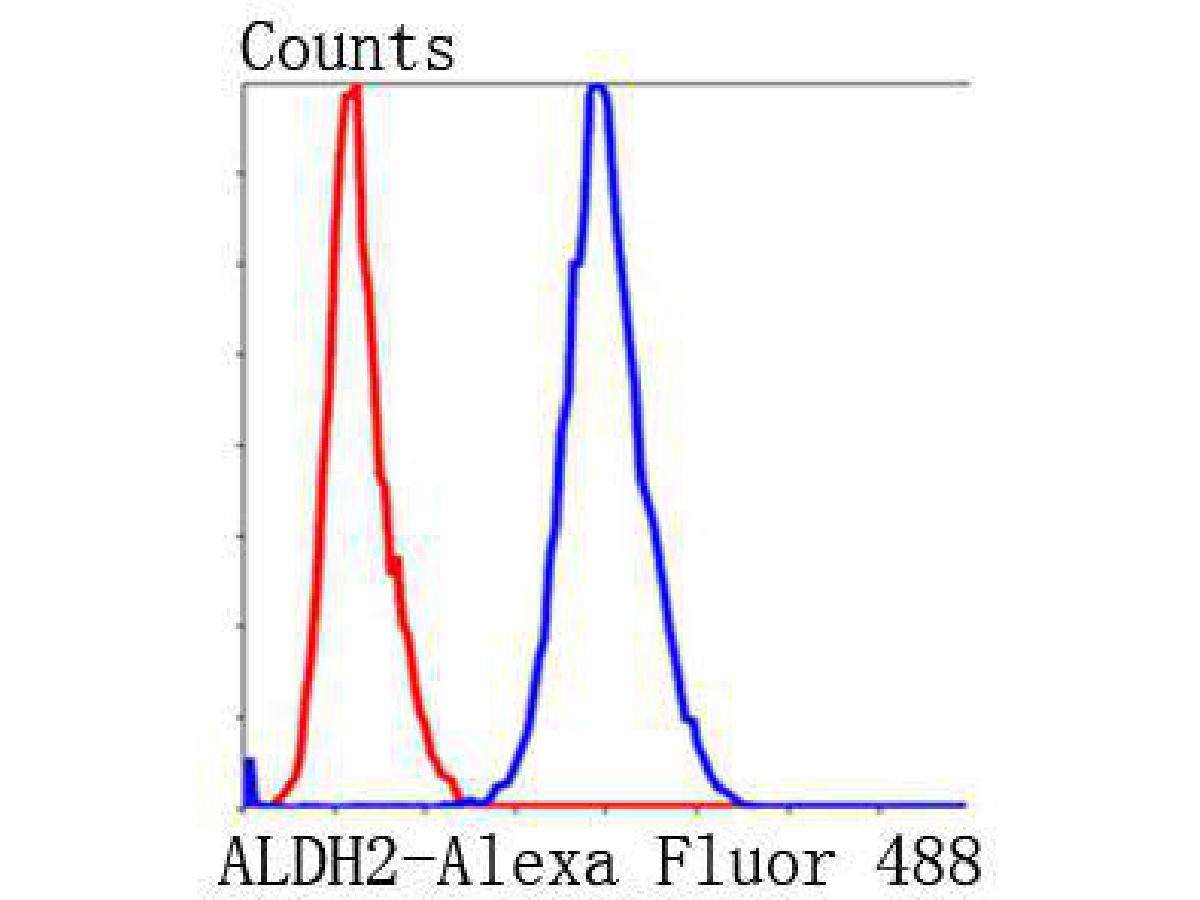 Flow cytometric analysis of HepG2 cells with ALDH2 antibody at 1/100 dilution (blue) compared with an unlabelled control (cells without incubation with primary antibody; red). Alexa Fluor 488-conjugated Goat anti mouse IgG was used as the secondary antibody.