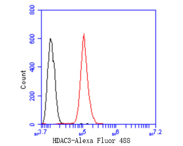 Flow cytometric analysis of HDAC3 was done on Hela cells. The cells were fixed, permeabilized and stained with the primary antibody (M1511-3, 1/50) (red). After incubation of the primary antibody at room temperature for an hour, the cells were stained with a Alexa Fluor 488-conjugated Goat anti-Mouse IgG Secondary antibody at 1/1000 dilution for 30 minutes.Unlabelled sample was used as a control (cells without incubation with primary antibody; black).