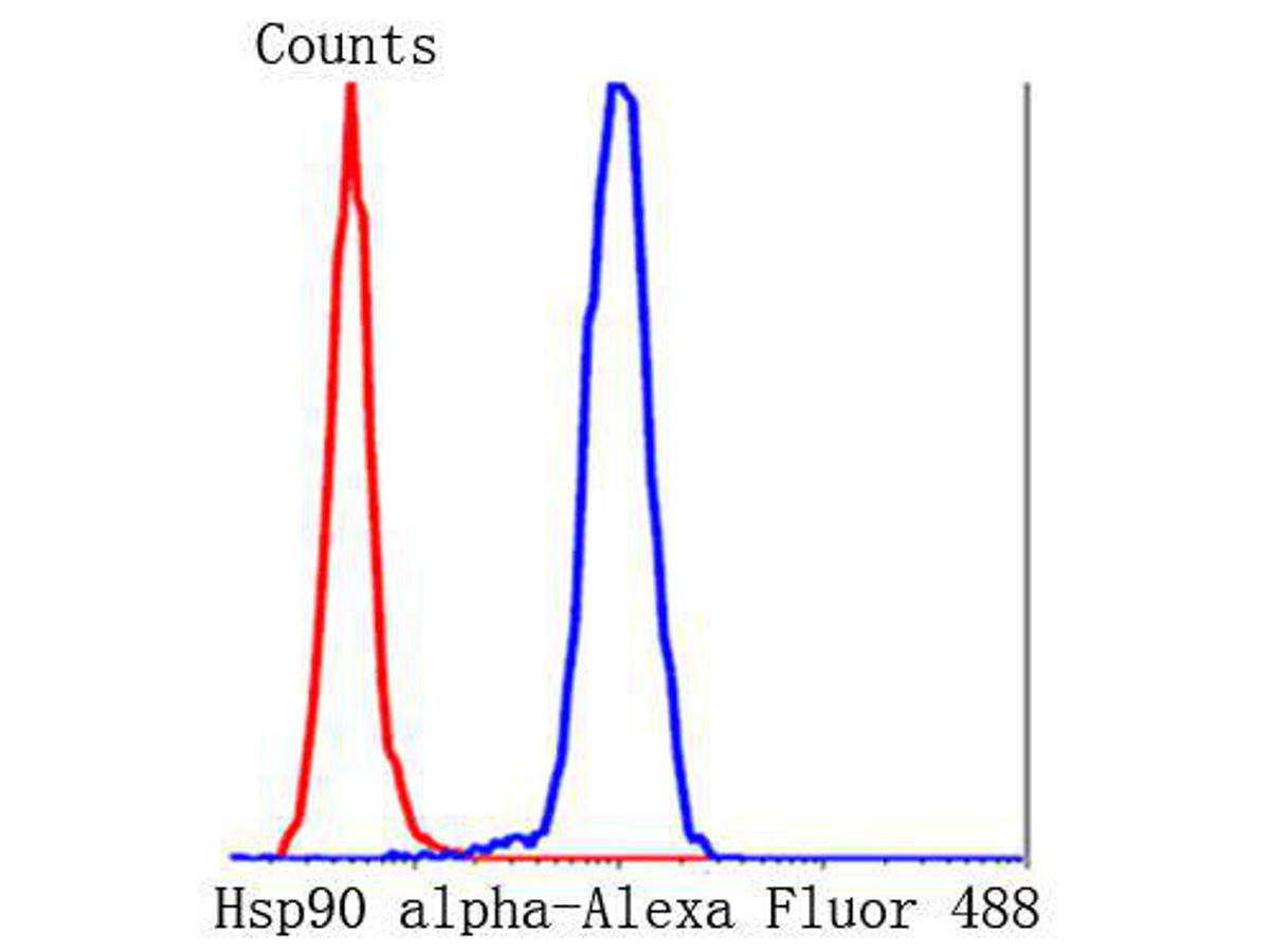 Flow cytometric analysis of Hela cells with Hsp90 alpha antibody at 1/50 dilution (blue) compared with an unlabelled control (cells without incubation with primary antibody; red). Alexa Fluor 488-conjugated Goat anti mouse IgG was used as the secondary antibody.