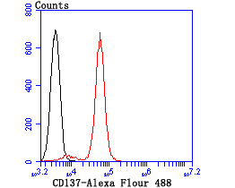 Flow cytometric analysis of Jurkat cells with CD137 antibody at 1/100 dilution (red) compared with an unlabelled control (cells without incubation with primary antibody; black).