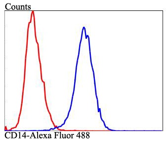 Flow cytometric analysis of Raji cells with CD14 antibody at 1/100 dilution (blue) compared with an unlabelled control (cells without incubation with primary antibody; red). Alexa Fluor 488-conjugated goat anti-rabbit IgG was used as the secondary antibody.