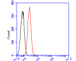 Flow cytometric analysis of SV2B was done on A549 cells. The cells were fixed, permeabilized and stained with the primary antibody (EM1902-40, 1/50) (red). After incubation of the primary antibody at room temperature for an hour, the cells were stained with a Alexa Fluor 488-conjugated Goat anti-Mouse IgG Secondary antibody at 1/1000 dilution for 30 minutes.Unlabelled sample was used as a control (cells without incubation with primary antibody; black).
