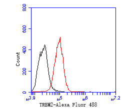 Flow cytometric analysis of TREM2 was done on THP-1 cells. The cells were fixed, permeabilized and stained with the primary antibody (ER1902-96, 1/50) (red). After incubation of the primary antibody at room temperature for an hour, the cells were stained with a Alexa Fluor 488-conjugated Goat anti-Rabbit IgG Secondary antibody at 1/1000 dilution for 30 minutes.Unlabelled sample was used as a control (cells without incubation with primary antibody; black).