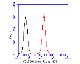 Flow cytometric analysis of CD180 was done on Daudi cells. The cells were fixed, permeabilized and stained with the primary antibody (ER2001-06, 1/50) (red). After incubation of the primary antibody at room temperature for an hour, the cells were stained with a Alexa Fluor 488-conjugated Goat anti-Rabbit IgG Secondary antibody at 1/1000 dilution for 30 minutes.Unlabelled sample was used as a control (cells without incubation with primary antibody; black).