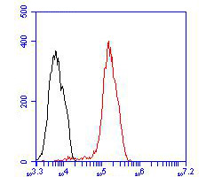 Flow cytometric analysis of IRS1 was done on MCF-7 cells. The cells were fixed, permeabilized and stained with the primary antibody (ER2001-35, 1/100) (red). After incubation of the primary antibody at room temperature for an hour, the cells were stained with a Alexa Fluor 488-conjugated goat anti-rabbit IgG Secondary antibody at 1/500 dilution for 30 minutes.Unlabelled sample was used as a control (cells without incubation with primary antibody; blcak).