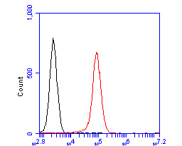 Flow cytometric analysis of hNaa50p was done on Daudi cells. The cells were fixed, permeabilized and stained with the primary antibody (ER2001-66, 1/50) (red). After incubation of the primary antibody at room temperature for an hour, the cells were stained with a Alexa Fluor 488-conjugated Goat anti-Rabbit IgG Secondary antibody at 1/1000 dilution for 30 minutes.Unlabelled sample was used as a control (cells without incubation with primary antibody; black).