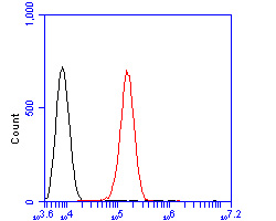 Flow cytometric analysis of KIFAP3 was done on SHSY5Y cells. The cells were fixed, permeabilized and stained with the primary antibody (ER2001-69, 1/50) (red). After incubation of the primary antibody at room temperature for an hour, the cells were stained with a Alexa Fluor 488-conjugated Goat anti-Rabbit IgG Secondary antibody at 1/1000 dilution for 30 minutes.Unlabelled sample was used as a control (cells without incubation with primary antibody; black).