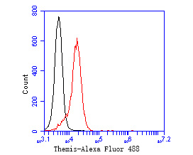 Flow cytometric analysis of Themis was done on Jurkat cells. The cells were fixed, permeabilized and stained with the primary antibody (ET7111-20, 1/50) (red). After incubation of the primary antibody at room temperature for an hour, the cells were stained with a Alexa Fluor 488-conjugated Goat anti-Rabbit IgG Secondary antibody at 1/1000 dilution for 30 minutes.Unlabelled sample was used as a control (cells without incubation with primary antibody; black).