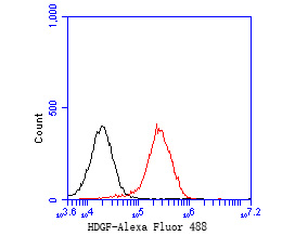 Flow cytometric analysis of HDGF was done on THP-1 cells. The cells were fixed, permeabilized and stained with the primary antibody (ET7111-42, 1/50) (red). After incubation of the primary antibody at room temperature for an hour, the cells were stained with a Alexa Fluor 488-conjugated Goat anti-Rabbit IgG Secondary antibody at 1/1000 dilution for 30 minutes.Unlabelled sample was used as a control (cells without incubation with primary antibody; black).