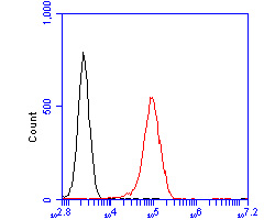Flow cytometric analysis of hNaa50p was done on Daudi cells. The cells were fixed, permeabilized and stained with the primary antibody (HA500001, 1/50) (red). After incubation of the primary antibody at room temperature for an hour, the cells were stained with a Alexa Fluor 488-conjugated Goat anti-Rabbit IgG Secondary antibody at 1/1000 dilution for 30 minutes.Unlabelled sample was used as a control (cells without incubation with primary antibody; black).