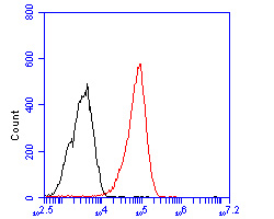 Flow cytometric analysis of Dopamine Transporter was done on F9 cells. The cells were fixed, permeabilized and stained with the primary antibody (HA500007, 1/50) (red). After incubation of the primary antibody at room temperature for an hour, the cells were stained with a Alexa Fluor 488-conjugated Goat anti-Rabbit IgG Secondary antibody at 1/1000 dilution for 30 minutes.Unlabelled sample was used as a control (cells without incubation with primary antibody; black).