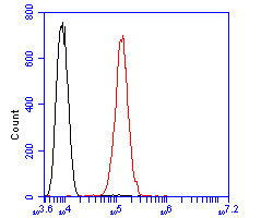 Flow cytometric analysis of GRIK4 was done on SHSY5Y cells. The cells were fixed, permeabilized and stained with the primary antibody (HA500017, 1/50) (red). After incubation of the primary antibody at room temperature for an hour, the cells were stained with a Alexa Fluor 488-conjugated Goat anti-Rabbit IgG Secondary antibody at 1/1000 dilution for 30 minutes.Unlabelled sample was used as a control (cells without incubation with primary antibody; black).