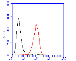 Flow cytometric analysis of GKAP was done on Daudi cells. The cells were fixed, permeabilized and stained with the primary antibody (HA500018, 1/50) (red). After incubation of the primary antibody at room temperature for an hour, the cells were stained with a Alexa Fluor 488-conjugated Goat anti-Rabbit IgG Secondary antibody at 1/1000 dilution for 30 minutes.Unlabelled sample was used as a control (cells without incubation with primary antibody; black).