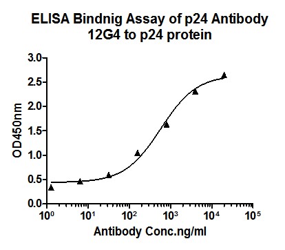 The binding activity of HA600010 with HIV1 p24 protein.<br />
Immobilized HIV1 p24 protein at 1 μg/ml overnight at 4℃. Then blocked with 1% BSA for 1 hour at 37℃, and incubated with the primary antibody (HA600010) for 1 hour at 25℃. The EC50 of HA600010 is 579 ng/ml.