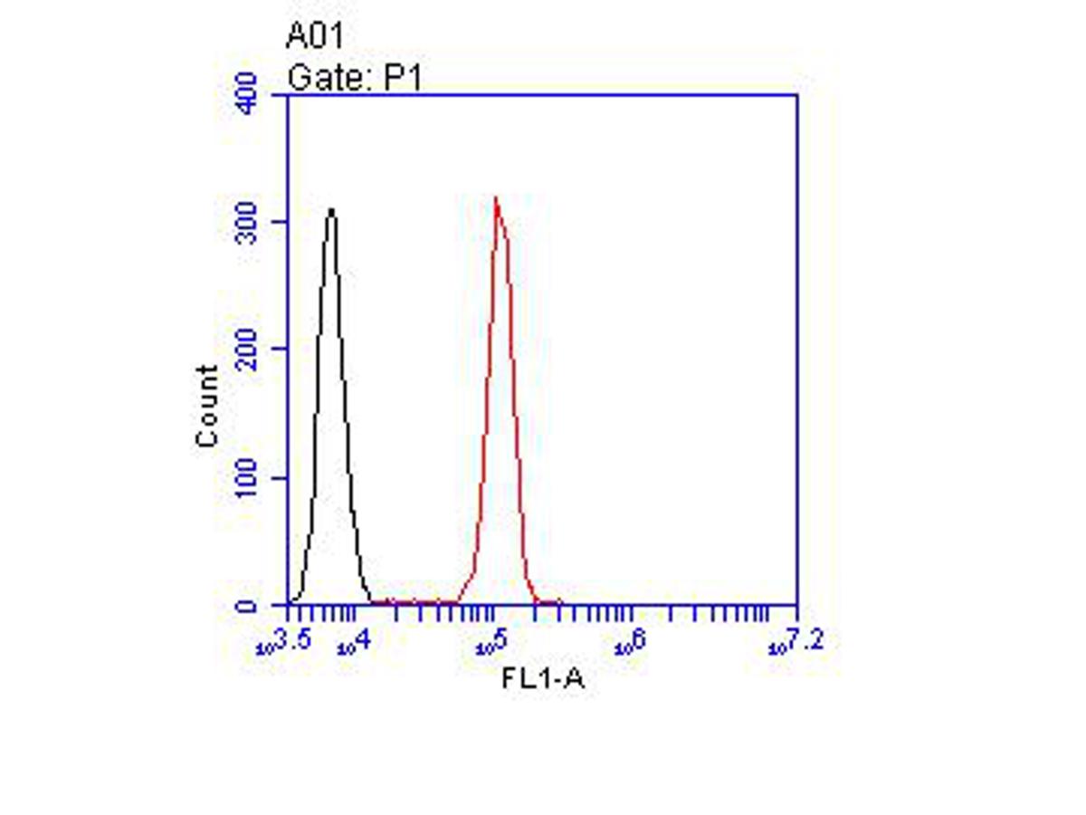 Flow cytometric analysis of JNK2 was done on Siha cells. The cells were fixed, permeabilized and stained with the primary antibody (HA500110, 1/100) (red). After incubation of the primary antibody at room temperature for an hour, the cells were stained with a Alexa Fluor 488-conjugated goat anti-rabbit IgG Secondary antibody at 1/500 dilution for 30 minutes.Unlabelled sample was used as a control (cells without incubation with primary antibody; black).