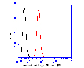 Flow cytometric analysis of ONECUT3 was done on SW620 cells. The cells were fixed, permeabilized and stained with the primary antibody (HA500130, 1/50) (red). After incubation of the primary antibody at room temperature for an hour, the cells were stained with a Alexa Fluor 488-conjugated Goat anti-Rabbit IgG Secondary antibody at 1/1000 dilution for 30 minutes.Unlabelled sample was used as a control (cells without incubation with primary antibody; black).