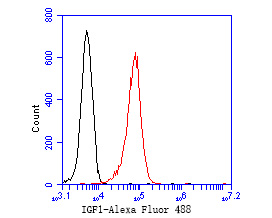 Flow cytometric analysis of IGF1 (E peptide) was done on K562 cells. The cells were fixed, permeabilized and stained with the primary antibody (HA500107, 1/50) (red). After incubation of the primary antibody at room temperature for an hour, the cells were stained with a Alexa Fluor 488-conjugated Goat anti-Rabbit IgG Secondary antibody at 1/1000 dilution for 30 minutes.Unlabelled sample was used as a control (cells without incubation with primary antibody; black).