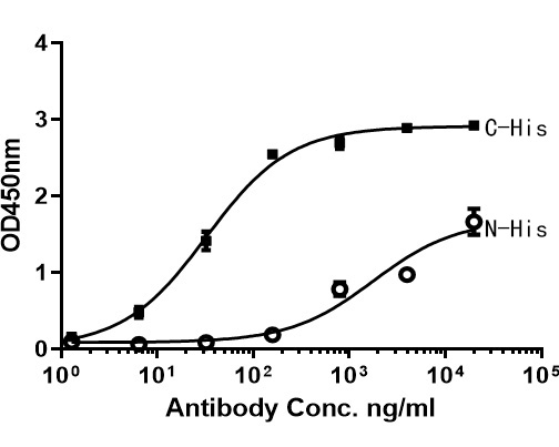 Immobilized His-tagged recombinant protein at 1 μg/ml overnight at 4℃. Then blocked with 1% BSA for 1 hour at 37℃, and incubated with the primary antibody for 1 hour at 25℃.