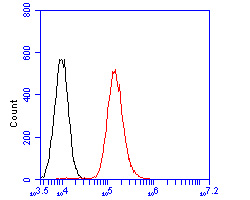 Flow cytometric analysis of Angiotensin II Type 1 Receptor was done on A549 cells. The cells were fixed, permeabilized and stained with the primary antibody (HA600029, 1/50) (red). After incubation of the primary antibody at room temperature for an hour, the cells were stained with a Alexa Fluor 488-conjugated Goat anti-Mouse IgG Secondary antibody at 1/1000 dilution for 30 minutes.Unlabelled sample was used as a control (cells without incubation with primary antibody; black).