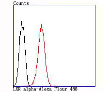 Flow cytometric analysis of LXR alpha was done on HepG2 cells. The cells were fixed, permeabilized and stained with the primary antibody (ET1704-51, 1/50) (red). After incubation of the primary antibody at room temperature for an hour, the cells were stained with a Alexa Fluor 488-conjugated Goat anti-Rabbit IgG Secondary antibody at 1/1000 dilution for 30 minutes.Unlabelled sample was used as a control (cells without incubation with primary antibody; black).