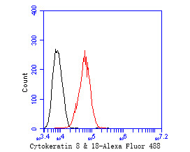 Flow cytometric analysis of Cytokeratin 18 was done on MCF-7 cells. The cells were fixed, permeabilized and stained with the primary antibody (HA600020, 1/50) (red). After incubation of the primary antibody at room temperature for an hour, the cells were stained with a Alexa Fluor 488-conjugated Goat anti-Mouse IgG Secondary antibody at 1/1000 dilution for 30 minutes.Unlabelled sample was used as a control (cells without incubation with primary antibody; black).