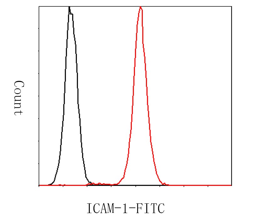 Flow cytometric analysis of ICAM-1 was done on Jurkat cells. The cells were fixed, permeabilized and stained with the primary antibody (M1511-6, 1/100) (red). After incubation of the primary antibody at room temperature for an hour, the cells were stained with a FITC-conjugated Goat anti-Mouse IgG Secondary antibody at 1/200 dilution for 30 minutes.Unlabelled sample was used as a control (cells without incubation with primary antibody; black).