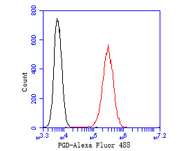 Flow cytometric analysis of PGD was done on A549 cells. The cells were fixed, permeabilized and stained with the primary antibody (ET7111-12, 1/50) (red). After incubation of the primary antibody at room temperature for an hour, the cells were stained with a Alexa Fluor 488-conjugated Goat anti-Rabbit IgG Secondary antibody at 1/1000 dilution for 30 minutes.Unlabelled sample was used as a control (cells without incubation with primary antibody; black).