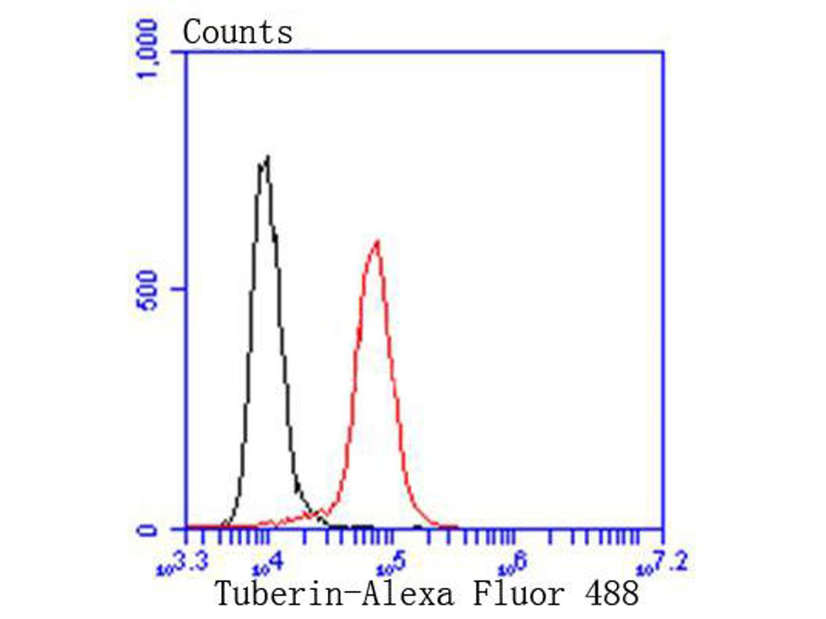 Flow cytometric analysis of Tuberin was done on Hela cells. The cells were fixed, permeabilized and stained with the primary antibody (ET1610-10, 1/50) (red). After incubation of the primary antibody at room temperature for an hour, the cells were stained with a Alexa Fluor 488-conjugated Goat anti-Rabbit IgG Secondary antibody at 1/1000 dilution for 30 minutes.Unlabelled sample was used as a control (cells without incubation with primary antibody; black).