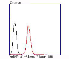 Flow cytometric analysis of hnRNP A1 was done on Jurkat cells. The cells were fixed, permeabilized and stained with the primary antibody (ET1704-52, 1/50) (red). After incubation of the primary antibody at room temperature for an hour, the cells were stained with a Alexa Fluor 488-conjugated Goat anti-Rabbit IgG Secondary antibody at 1/1000 dilution for 30 minutes.Unlabelled sample was used as a control (cells without incubation with primary antibody; black).