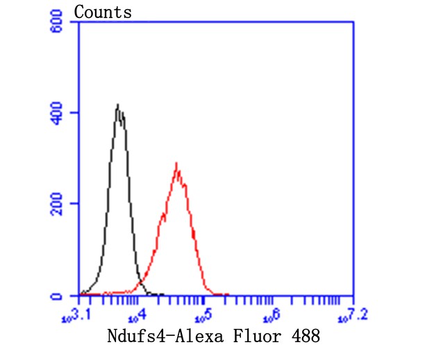 Flow cytometric analysis of Ndufs4 was done on 293T cells. The cells were fixed, permeabilized and stained with Ndufs4 antibody at 1/100 dilution (red) compared with an unlabelled control (cells without incubation with primary antibody; black). After incubation of the primary antibody on room temperature for an hour, the cells was stained with a Alexa Fluor™ 488-conjugated goat anti-rabbit IgG Secondary antibody at 1/500 dilution for 30 minutes.