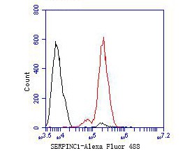 Flow cytometric analysis of SERPINC1 was done on HCT116 cells. The cells were fixed, permeabilized and stained with the primary antibody (EM1901-11, 1/50) (red). After incubation of the primary antibody at room temperature for an hour, the cells were stained with a Alexa Fluor 488-conjugated Goat anti-Mouse IgG Secondary antibody at 1/1000 dilution for 30 minutes.Unlabelled sample was used as a control (cells without incubation with primary antibody; black).