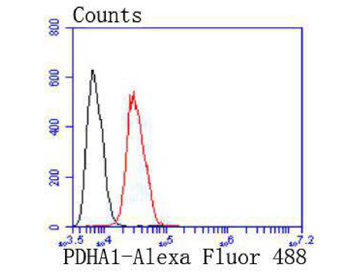 Flow cytometric analysis of PDHA1 was done on Hela cells. The cells were fixed, permeabilized and stained with the primary antibody (ET1702-75, 1/50) (red). After incubation of the primary antibody at room temperature for an hour, the cells were stained with a Alexa Fluor 488-conjugated Goat anti-Rabbit IgG Secondary antibody at 1/1000 dilution for 30 minutes.Unlabelled sample was used as a control (cells without incubation with primary antibody; black).