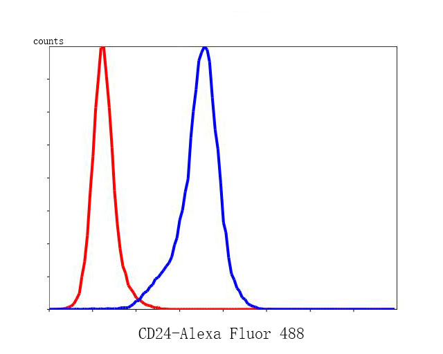 Flow cytometric analysis of CD24 was done on N2A cells. The cells were fixed, permeabilized and stained with the primary antibody (0804-3, 1/50) (blue). After incubation of the primary antibody at room temperature for an hour, the cells were stained with a Alexa Fluor 488-conjugated Goat anti-Rabbit IgG Secondary antibody at 1/1,000 dilution for 30 minutes.Unlabelled sample was used as a control (cells without incubation with primary antibody; red).