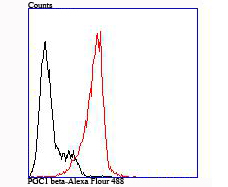 Flow cytometric analysis of PGC1 beta was done on HL-60 cells. The cells were fixed, permeabilized and stained with the primary antibody (ET1705-65, 1/50) (red). After incubation of the primary antibody at room temperature for an hour, the cells were stained with a Alexa Fluor 488-conjugated Goat anti-Rabbit IgG Secondary antibody at 1/1000 dilution for 30 minutes.Unlabelled sample was used as a control (cells without incubation with primary antibody; black).
