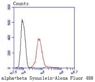 Flow cytometric analysis of alpha+beta Synuclein was done on Hela cells. The cells were fixed, permeabilized and stained with the primary antibody (ET1609-66, 1/50) (red). After incubation of the primary antibody at room temperature for an hour, the cells were stained with a Alexa Fluor 488-conjugated Goat anti-Rabbit IgG Secondary antibody at 1/1000 dilution for 30 minutes.Unlabelled sample was used as a control (cells without incubation with primary antibody; black).