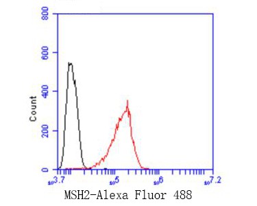Flow cytometric analysis of MSH2 was done on Hela cells. The cells were fixed, permeabilized and stained with the primary antibody (ET7110-50, 1/50) (red). After incubation of the primary antibody at room temperature for an hour, the cells were stained with a Alexa Fluor 488-conjugated Goat anti-Rabbit IgG Secondary antibody at 1/1000 dilution for 30 minutes.Unlabelled sample was used as a control (cells without incubation with primary antibody; black).