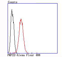 Flow cytometric analysis of PMP22 was done on SH-SY5Y cells. The cells were fixed, permeabilized and stained with the primary antibody (ET1705-15, 1/50) (red). After incubation of the primary antibody at room temperature for an hour, the cells were stained with a Alexa Fluor 488-conjugated Goat anti-Rabbit IgG Secondary antibody at 1/1,000 dilution for 30 minutes.Unlabelled sample was used as a control (cells without incubation with primary antibody; black).