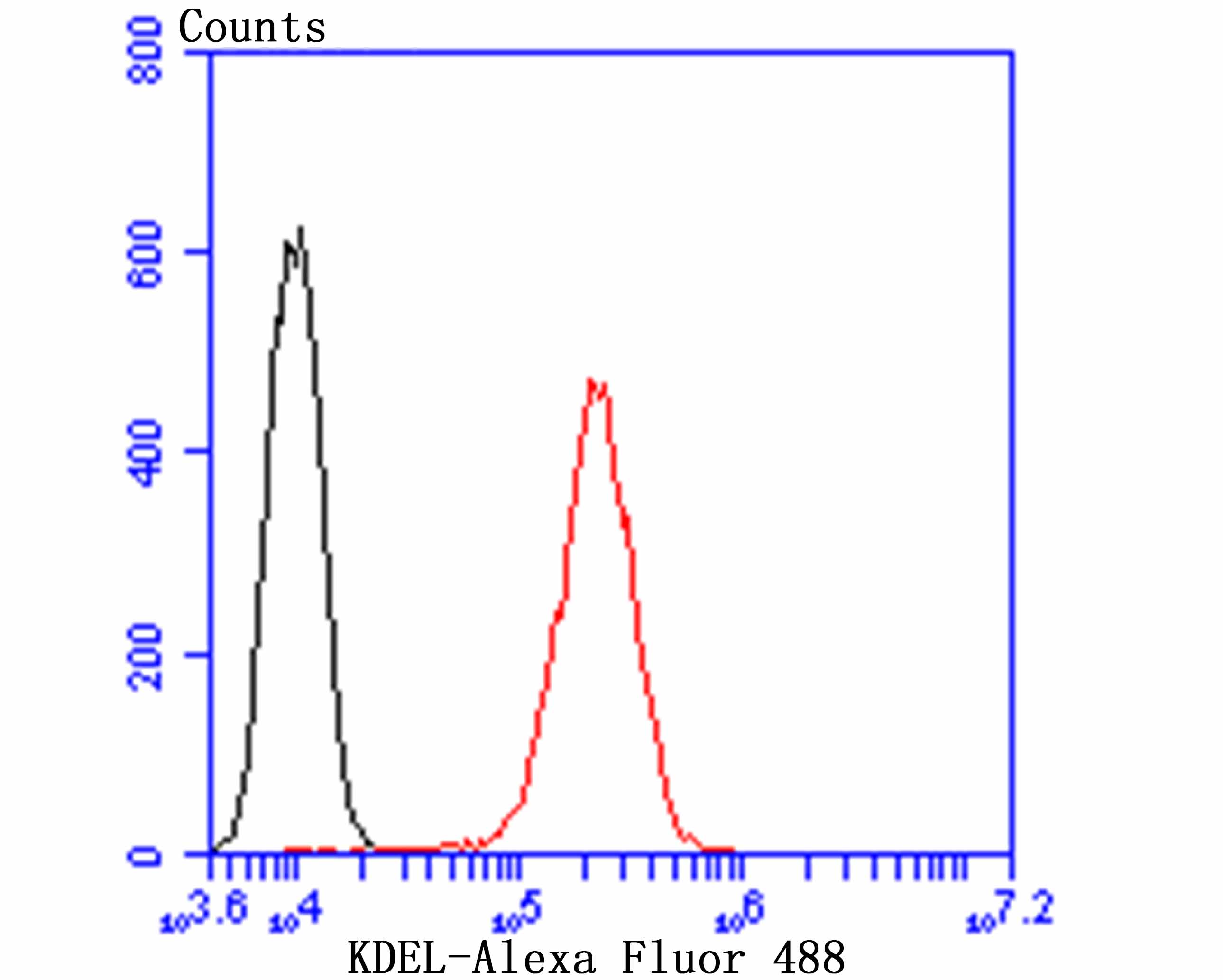 Flow cytometric analysis of KDEL was done on HepG2 cells. The cells were fixed, permeabilized and stained with the primary antibody (ET7107-86, 1/50) (red). After incubation of the primary antibody at room temperature for an hour, the cells were stained with a Alexa Fluor 488-conjugated Goat anti-Rabbit IgG Secondary antibody at 1/1000 dilution for 30 minutes.Unlabelled sample was used as a control (cells without incubation with primary antibody; black).
