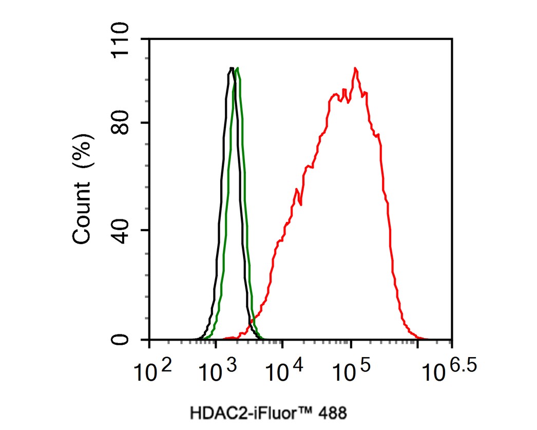 Flow cytometric analysis of HDAC2 was done on Hela cells. The cells were fixed, permeabilized and stained with the primary antibody (ET1607-78, 1/50) (red). After incubation of the primary antibody at room temperature for an hour, the cells were stained with a Alexa Fluor 488-conjugated Goat anti-Rabbit IgG Secondary antibody at 1/1000 dilution for 30 minutes.Unlabelled sample was used as a control (cells without incubation with primary antibody; black).