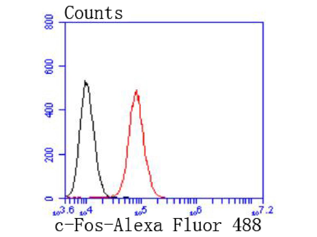 Flow cytometric analysis of c-Fos was done on NIH/3T3 cells. The cells were fixed, permeabilized and stained with the primary antibody (ET1701-95, 1/50) (red). After incubation of the primary antibody at room temperature for an hour, the cells were stained with a Alexa Fluor 488-conjugated Goat anti-Rabbit IgG Secondary antibody at 1/1000 dilution for 30 minutes.Unlabelled sample was used as a control (cells without incubation with primary antibody; black).