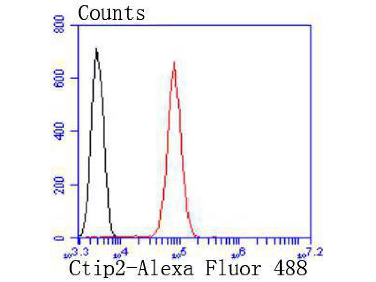 Flow cytometric analysis of Ctip2 was done on Jurkat cells. The cells were fixed, permeabilized and stained with the primary antibody (ET1702-76, 1/50) (red). After incubation of the primary antibody at room temperature for an hour, the cells were stained with a Alexa Fluor 488-conjugated Goat anti-Rabbit IgG Secondary antibody at 1/1000 dilution for 30 minutes.Unlabelled sample was used as a control (cells without incubation with primary antibody; black).