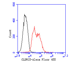 Flow cytometric analysis of Claudin18.2 was done on F9 cells. The cells were fixed, permeabilized and stained with the primary antibody (ER1902-86, 1/50) (red). After incubation of the primary antibody at room temperature for an hour, the cells were stained with a Alexa Fluor 488-conjugated Goat anti-Rabbit IgG Secondary antibody at 1/1000 dilution for 30 minutes.Unlabelled sample was used as a control (cells without incubation with primary antibody; black).