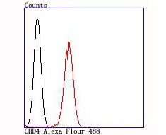 Flow cytometric analysis of CHD4 was done on 293T cells. The cells were fixed, permeabilized and stained with the primary antibody (ET1704-53, 1/100) (red). After incubation of the primary antibody at room temperature for an hour, the cells were stained with a Alexa Fluor 488-conjugated goat anti-rabbit IgG Secondary antibody at 1/500 dilution for 30 minutes.Unlabelled sample was used as a control (cells without incubation with primary antibody; black).
