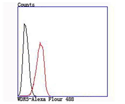 Flow cytometric analysis of WDR5 was done on Hela cells. The cells were fixed, permeabilized and stained with the primary antibody (ET1705-60, 1/50) (red). After incubation of the primary antibody at room temperature for an hour, the cells were stained with a Alexa Fluor®488 conjugate-Goat anti-Rabbit IgG Secondary antibody at 1/1000 dilution for 30 minutes.Unlabelled sample was used as a control (cells without incubation with primary antibody; black).