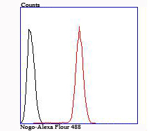 Flow cytometric analysis of Nogo was done on Hela cells. The cells were fixed, permeabilized and stained with the primary antibody (ET1705-63, 1/50) (red). After incubation of the primary antibody at room temperature for an hour, the cells were stained with a Alexa Fluor®488 conjugate-Goat anti-Rabbit IgG Secondary antibody at 1/1,000 dilution for 30 minutes.Unlabelled sample was used as a control (cells without incubation with primary antibody; black).