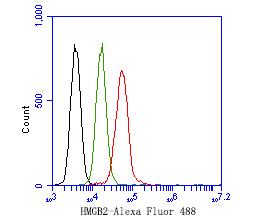 Flow cytometric analysis of HMGB2 was done on SiHa cells. The cells were fixed, permeabilized and stained with the primary antibody (HA500512, 1ug/ml) (red) compared with Rabbit IgG, monoclonal  - Isotype Control (green). After incubation of the primary antibody at +4℃ for 1 hour, the cells were stained with a Alexa Fluor®488 conjugate-Goat anti-Rabbit IgG Secondary antibody at 1/1,000 dilution for 30 minutes at +4℃ (dark incubation).Unlabelled sample was used as a control (cells without incubation with primary antibody; black).