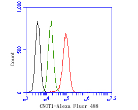 Flow cytometric analysis of CNOT1 was done on SiHa cells. The cells were fixed, permeabilized and stained with the primary antibody (HA500466, 1ug/ml) (red) compared with Rabbit IgG, monoclonal  - Isotype Control (green). After incubation of the primary antibody at +4℃ for 1 hour, the cells were stained with a Alexa Fluor®488 conjugate-Goat anti-Rabbit IgG Secondary antibody at 1/1,000 dilution for 30 minutes at +4℃ (dark incubation).Unlabelled sample was used as a control (cells without incubation with primary antibody; black).